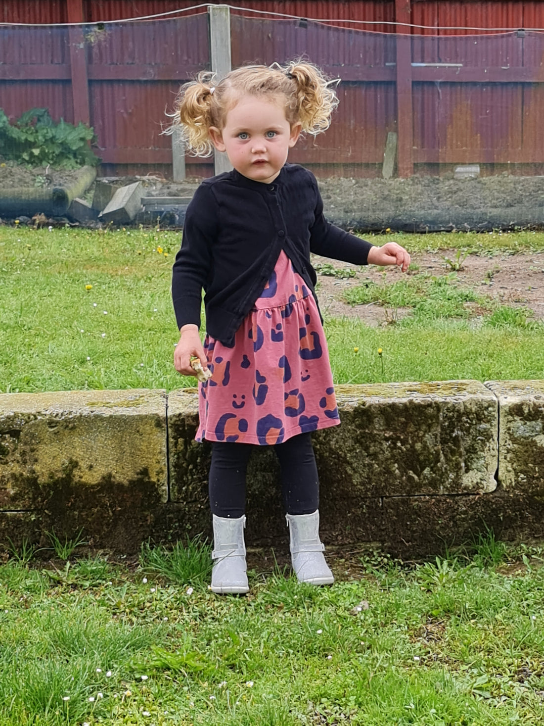 My take on toilet training