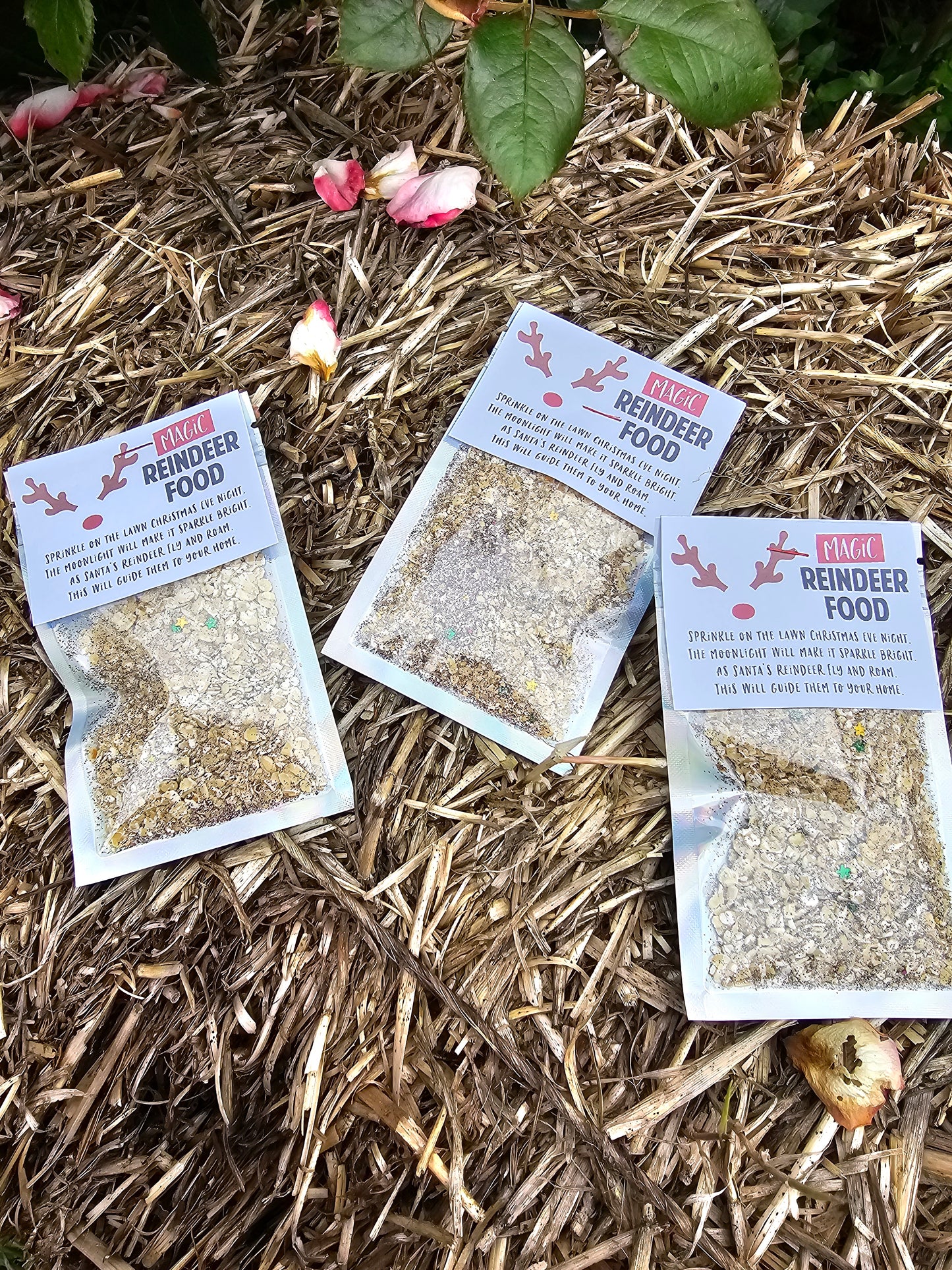 Reindeer food