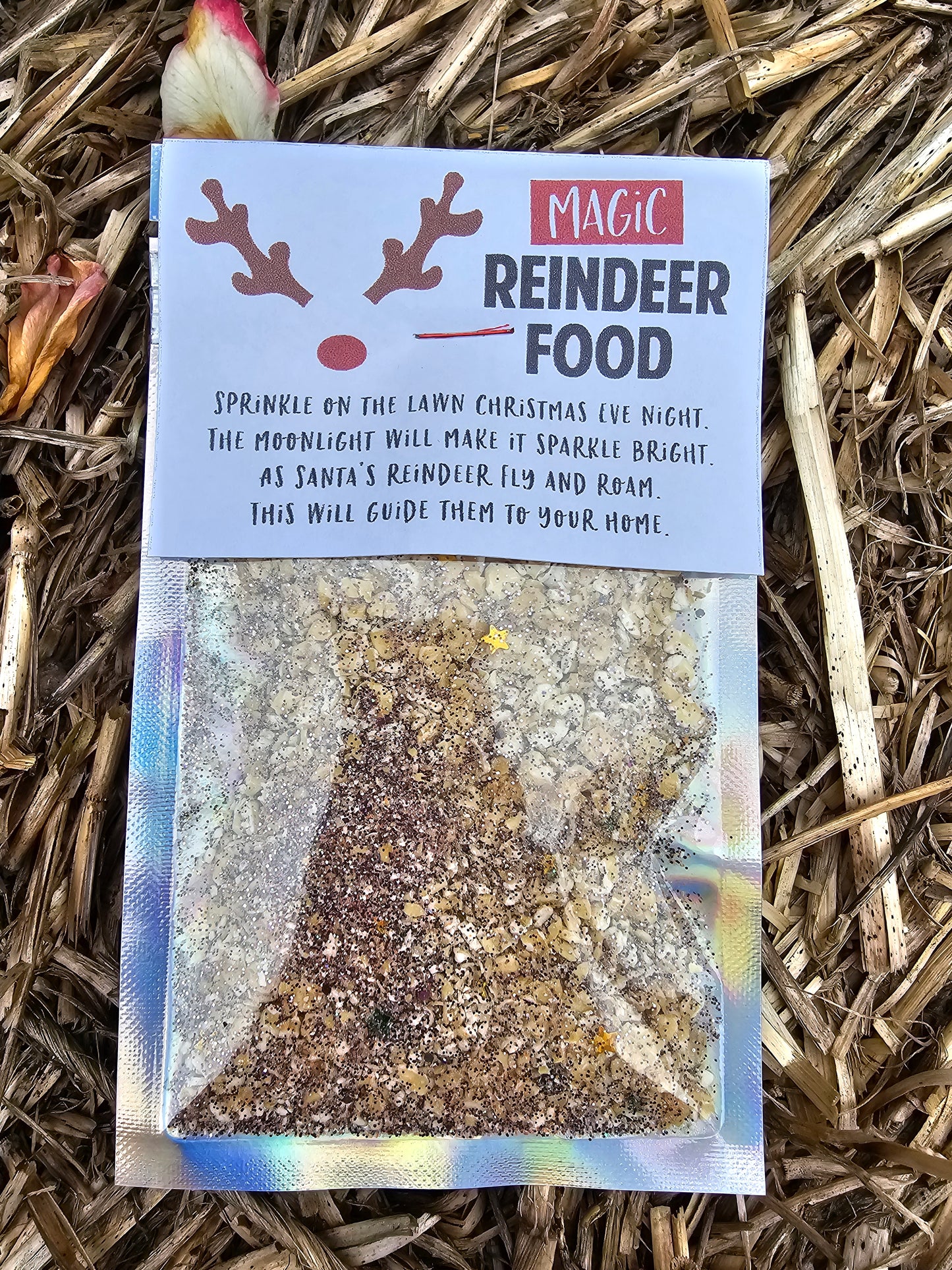 Reindeer food